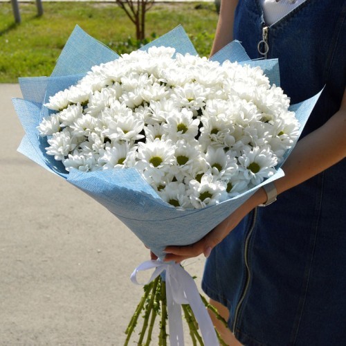 Букет из 15 кустовых белых хризантем в голубой пленке