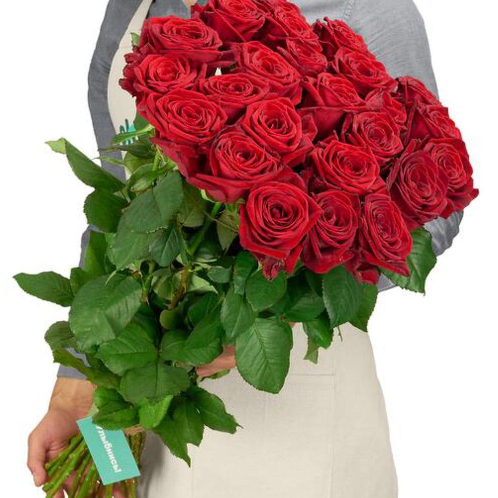 Роза красная, Россия, 80см